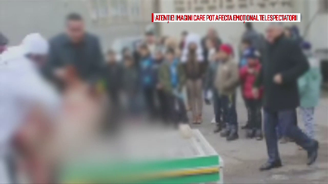 Copiii sarmani au asistat cu mainile la ochi la sacrificarea unui porc. Presedintele CJ Gorj: "Au fost placut impresionati"