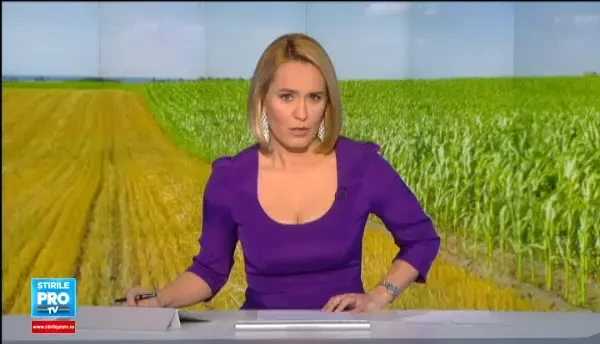 Cosmarul turistilor de pe litoral e mana cereasca pentru agricultori. Cum au sporit productivitatea culturilor cu pana la 50%