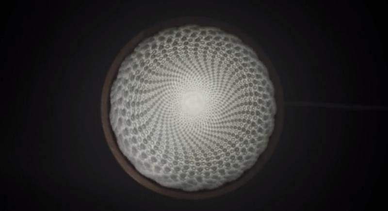 VIDEO Sculptura din imaginile alaturate este o iluzie optica tangibila