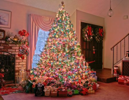 "O, brad frumos!” Trucuri ca sa ai un pom de Craciun mirific