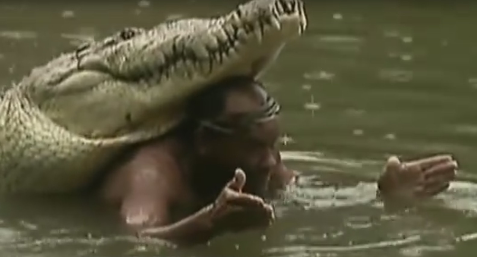 Un pescar a salvat un CROCODIL de la moarte! REACTIA INCREDIBILA a animalului de 6 metri cand a fost eliberat in salbaticie! VIDEO