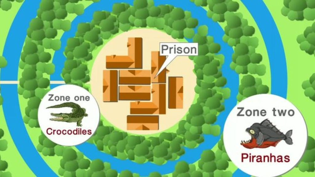 Planul bizar al autoritatilor indoneziene pentru a-i tine inchisi pe capii traficului de droguri. "Protejam aceste animale"