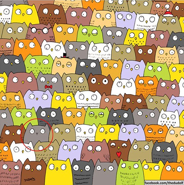 puzzle