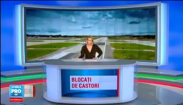 O colonie de castori incurca lucrarile la Aeroportul Brasov, iar ecologistii vor arie protejata. Oficial: Noi am fost primii