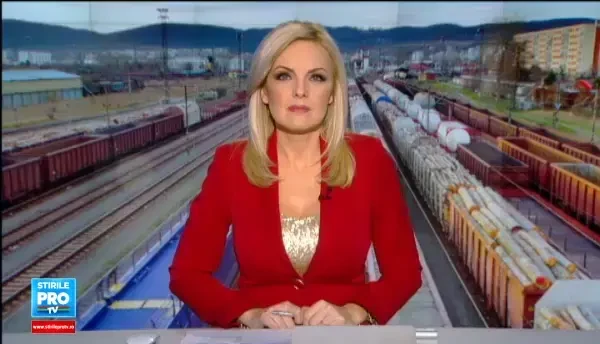 Un urs a ajuns cu trenul tocmai la Ploiesti. Solutia gasita de autoritati pentru animalul ratacit