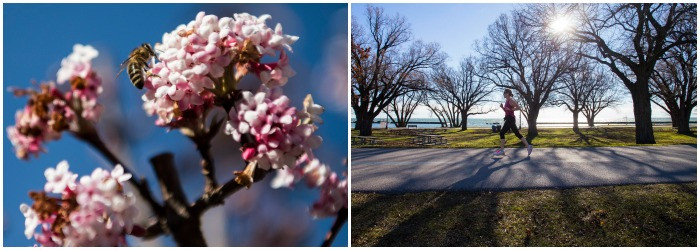 Cel mai calduros Craciun din istoria masuratorilor meteorologilor, in Europa si SUA. Oamenii au iesit imbracati in tricouri
