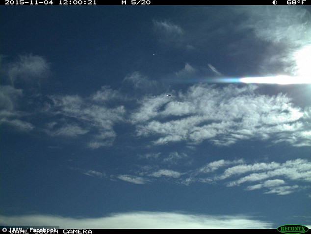 Imaginile care au starnit controverse pe internet. Ce a fotografiat un american. FOTO