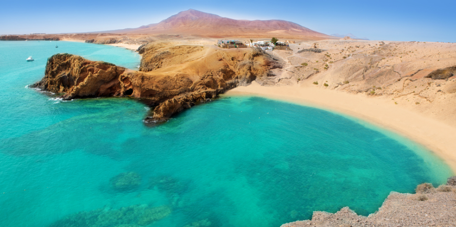 Norocul incredibil al unei femei care a fost atacata de un rechin in timp ce inota. Gestul cu care si-a salvat viata