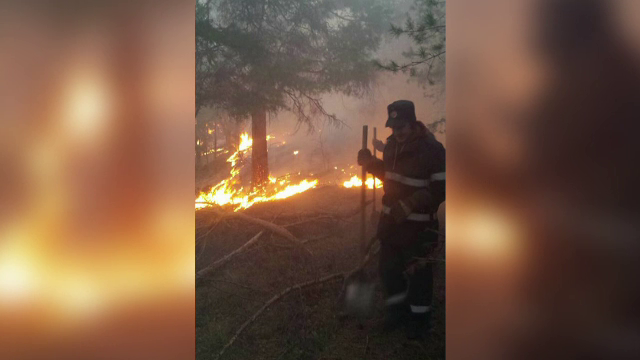 Incendiul din Muntii Buzaului a fost stins dupa mai bine de 15 ore. Peste 100 de oameni s-au luptat cu flacarile imense