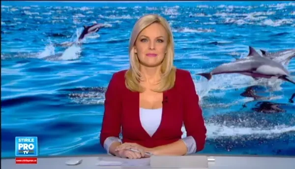 Imagini inedite, filmate la malul Marii Negre. Vremea neobisnuit de calda i-a facut pe delfini sa caute hrana la mal