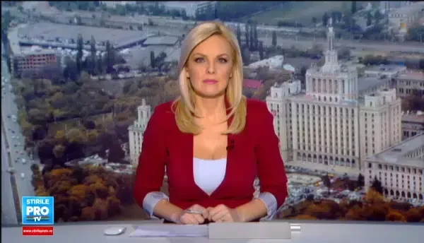 Cea mai mare sculptura din Bucuresti a fost montata. Aripile i-au luat oficial locul lui Lenin in Piata Presei