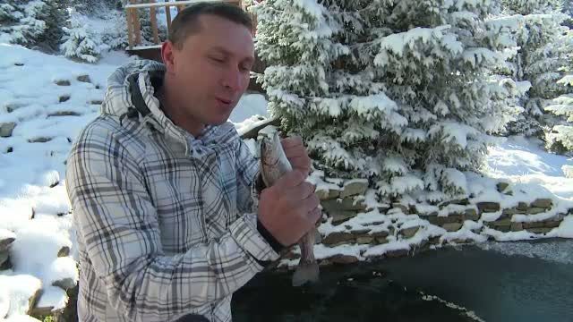 Pastrav la gratar, curcan la protap si prepelite umplute cu portocala. Surprizele pensiunilor de la munte pentru turisti