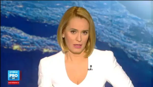 Meme Stoica poate fi eliberat conditionat. Cum a incercat sa-l convinga pe judecator ca merita sa fie lasat liber