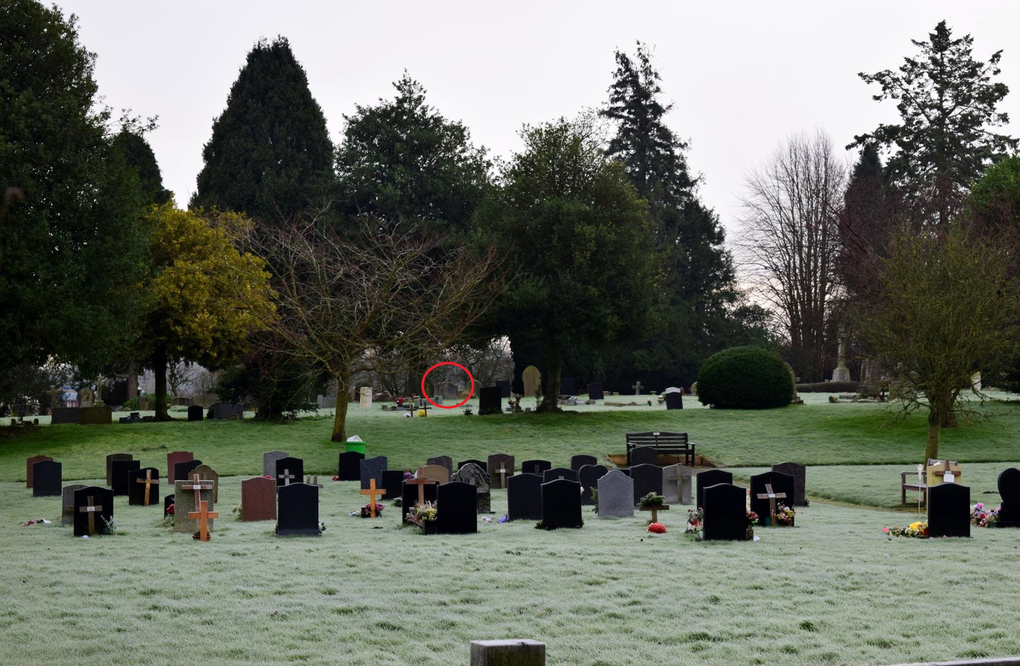 Un fotograf amator a facut o poza intr-un cimitir si s-a speriat cand a vazut pozele. Detaliul observat de prietenii lui