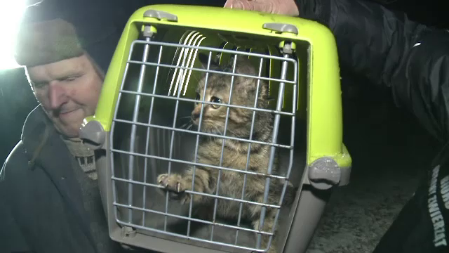 Mobilizare impresionanta a pompierilor si alpinistilor pentru a salva o pisica. Felina a supravietuit 11 zile intr-o fantana