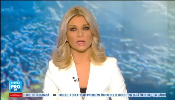 Ancheta la Cluj, dupa ce un avion cu 116 pasageri la bord a ratat aterizarea si s-a oprit pe camp. Declaratiile lui David Ciceo, directorul aeroportului