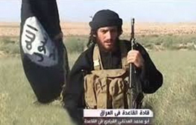 Lovitura data Statului Islamic. Unul dintre lideri ar fi fost ranit grav intr-un raid al trupelor irakiene