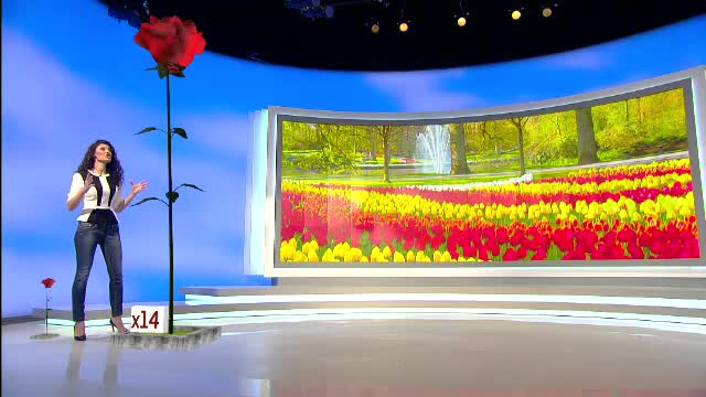 1 panseluta = 3 alocatii pentru copii. Matematica din spatele unei risipe uriase din bani publici, ascunsa 7 ani sub pres