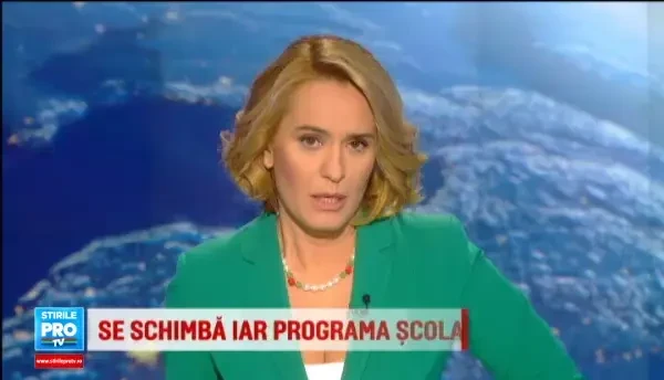 Patru instrumente valoroase, furate de pe aeroportul din Berlin, au fost recuperate in Romania. Cat cereau 2 romani pe ele