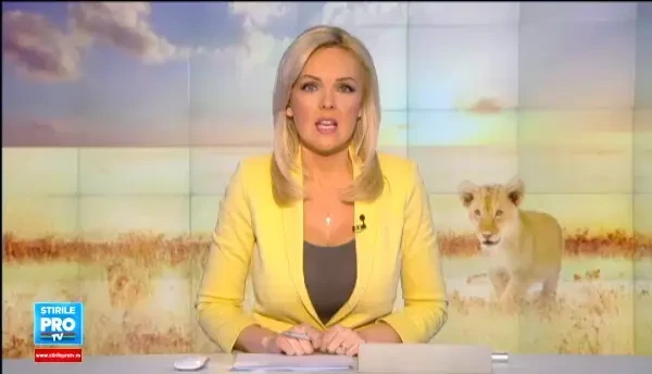 Povestea lui King Paraschiv, puiul de leu respins de mama la nastere si mutat in biroul directorului de la Zoo Barlad