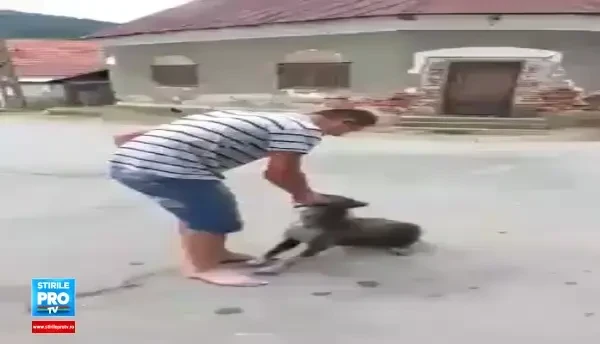 Imaginile care au starnit revolta pe internet. Un barbat din Mehedinti, filmat in timp ce maltrateaza un caine