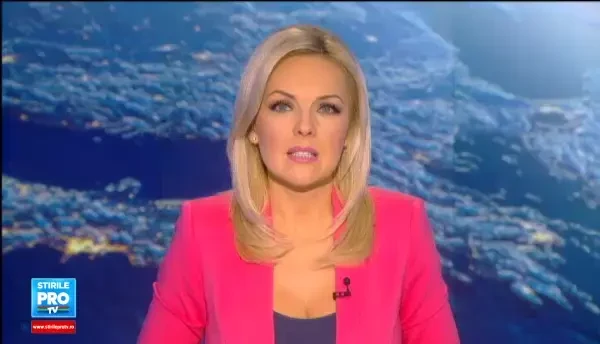 Custi speciale pentru animalele de companie transportate cu masina si interzicerea parcarii pe trotuar.Proiectele anului 2016