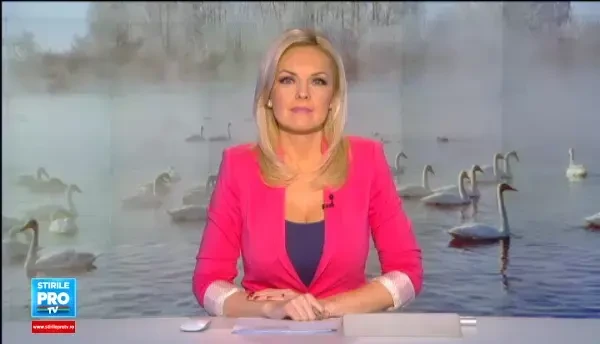 Aparitie spectaculoasa pe apele Muresului. Un stol de lebede a atras privirile trecatorilor, care le-au dat de mancare