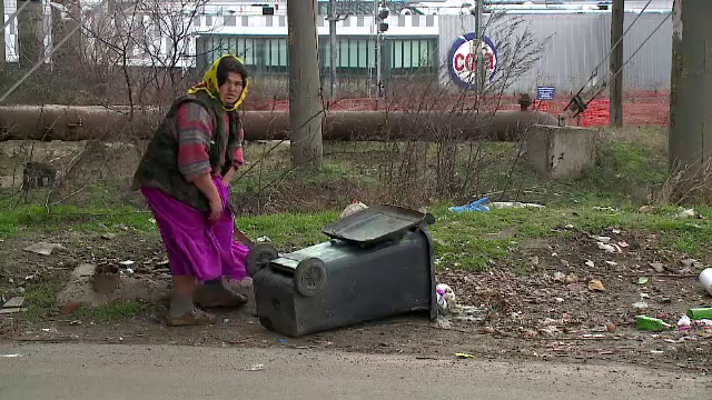 Padurile de la marginea oraselor au devenit imense gropi de gunoi. Explicatia locuitorilor: "Aici arunca toata lumea"