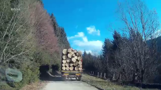 Cum vor plati cei care transporta ILEGAL lemne, in tara in care se defriseaza 3 hectare de padure/ora