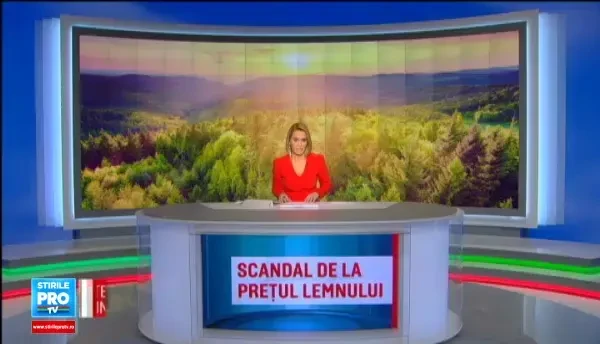 Razboi pe preturile de pornire ale lemnului. Romsilva le-a triplat, cei din industrie spun ca vor intra in curand in criza