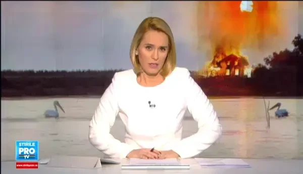 Doua pensiuni din Delta, facute scrum intr-un incendiu. Pompierii au ajuns dupa 2 ore pentru ca nu au salupe de mare viteza