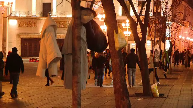 Inspirati de bulgari, timisorenii au imbracat si ei copacii din oras. Reactia oamenilor strazii cand au vazut hainele