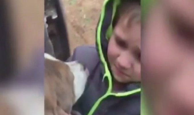 Reintalnirea emotionanta dintre un baietel si cainele care disparuse de acasa timp de o luna: "Mi-a fost dor de tine"