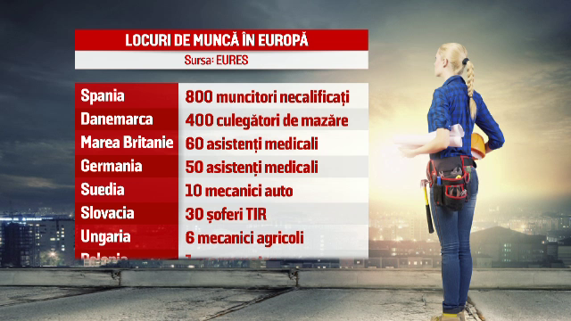 Reteaua europeana EURES ofera 2.000 de job-uri in UE pentru romani. Prioritate au tinerii intre 18 si 32 de ani