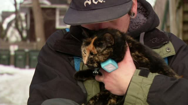 Leela, "pisica-pirat" care a cucerit un oras din SUA. "Am grija mereu sa ma opresc si sa o salut"