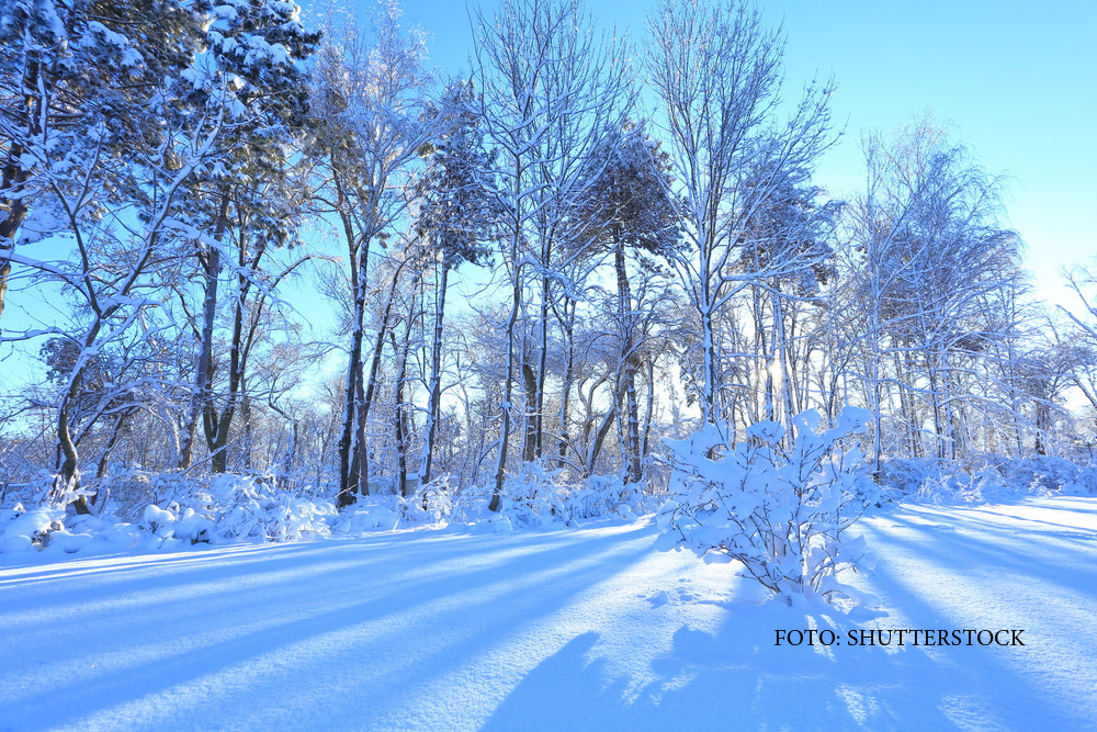Codul portocaliu de vreme rea a fost ridicat, dar nu scapam de vant si ger. Temperaturile vor scadea si pana la -20 de grade
