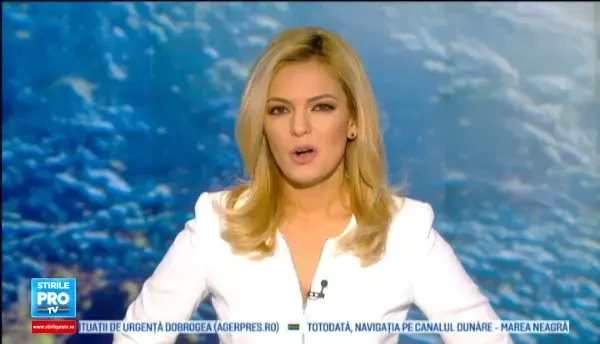 Leela, pisica-pirat care a cucerit un oras din SUA. Am grija mereu sa ma opresc si sa o salut