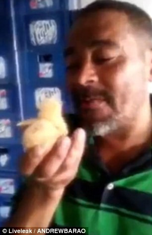 Farsa sau gest socant! Un barbat din Brazilia se filmeaza in timp ce inghite un pui de gaina viu. VIDEO