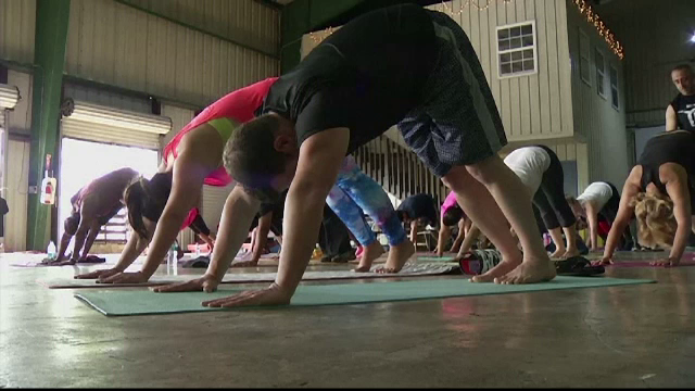 Cursurile de yoga organizate in fabrici de bere, la mare cautare in SUA. Reteta de succes a unui producator din Florida
