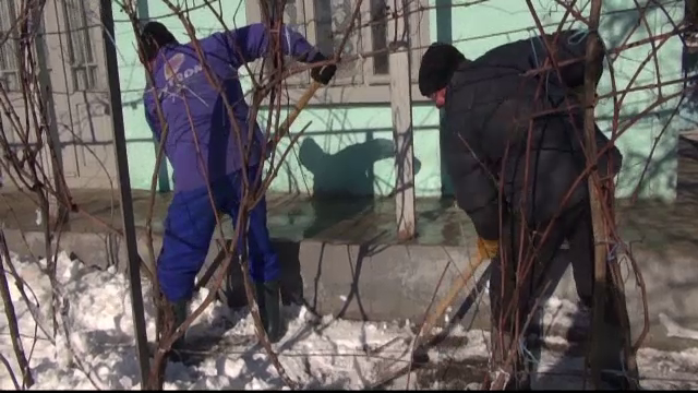 "Daca ar da bautura si tigari, as munci". Cum ii tocmesti pe asistatii sociali sa dea o mana de ajutor la curatarea zapezii