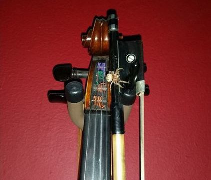 Socul trait de un muzician dupa ce vioara lui a inceput sa cante singura, pe intuneric. Ce a descoperit cand s-a apropiat