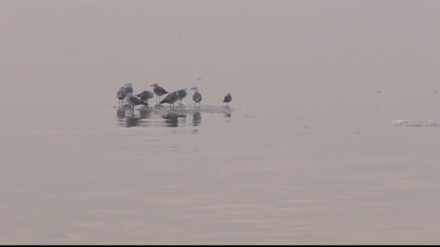 Fenomenul care le da batai de cap navigatorilor. Ce a aparut pe Dunare din cauza gerului