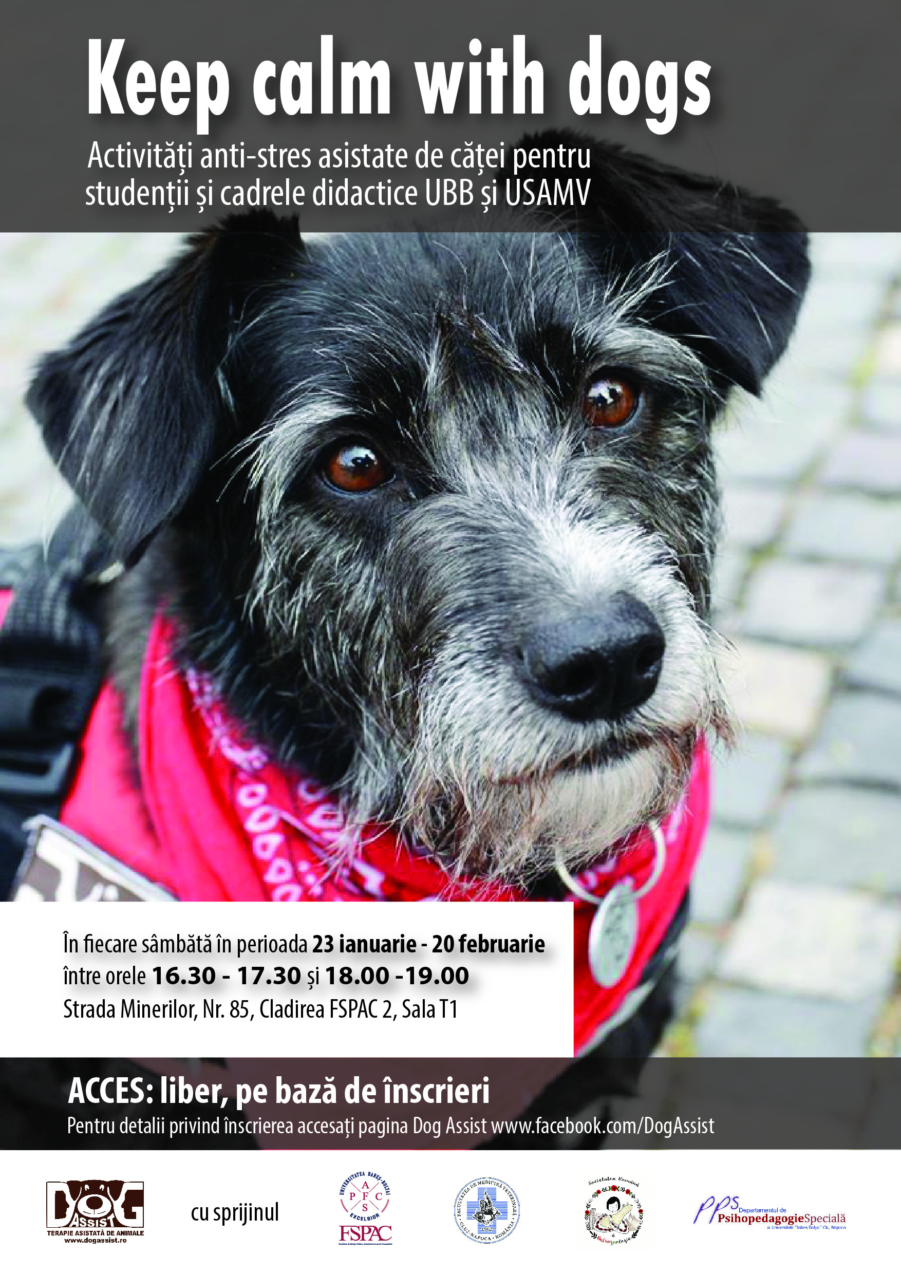 Programul „Keep Calm with Dogs″, desfasurat la FSPAC Cluj