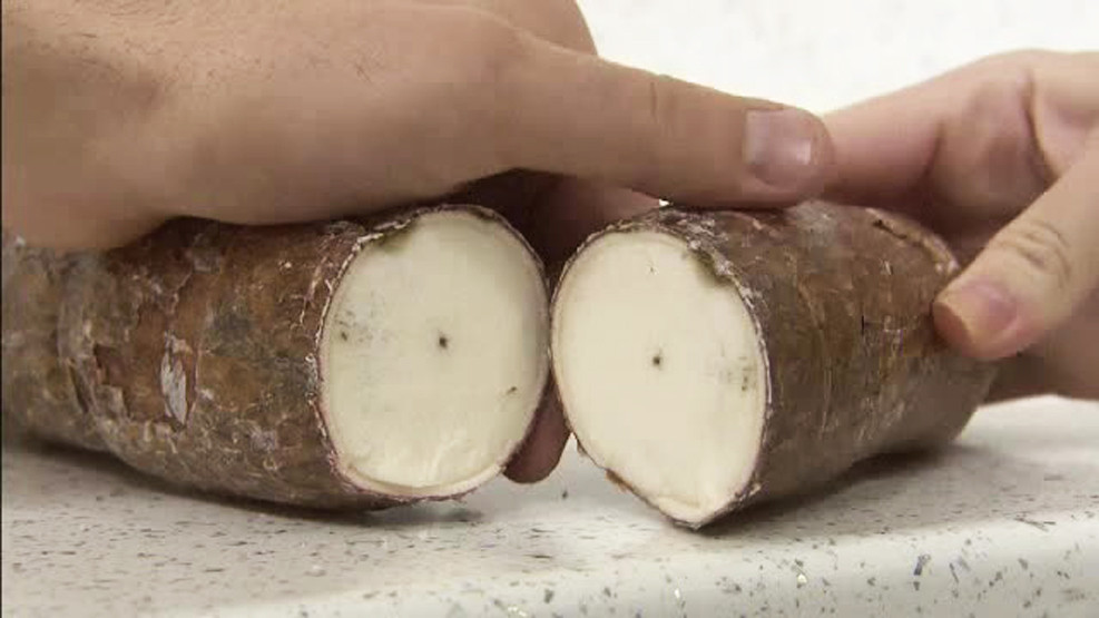 Decizia luata de ANPC dupa ce o femeie a ajuns la spital pentru ca a mancat cassava. Conditiile in care se poate consuma