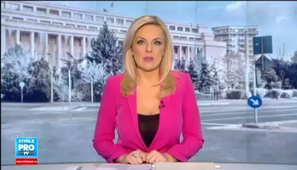 Declaratia facuta de tanarul care a intrat cu masina in gardul Guvernului, dupa ce a fost audiat de politie