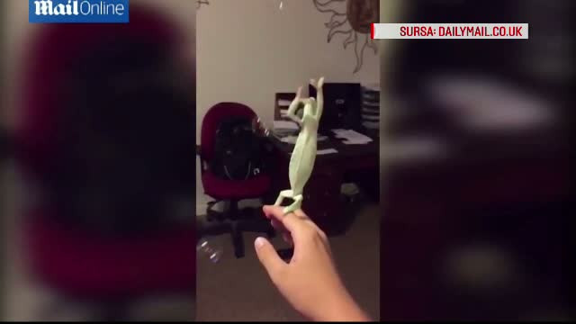 Cameleonul care a reusit sa cucereasca internetul. Cum incearca sa sparga baloanele de sapun din jurul lui