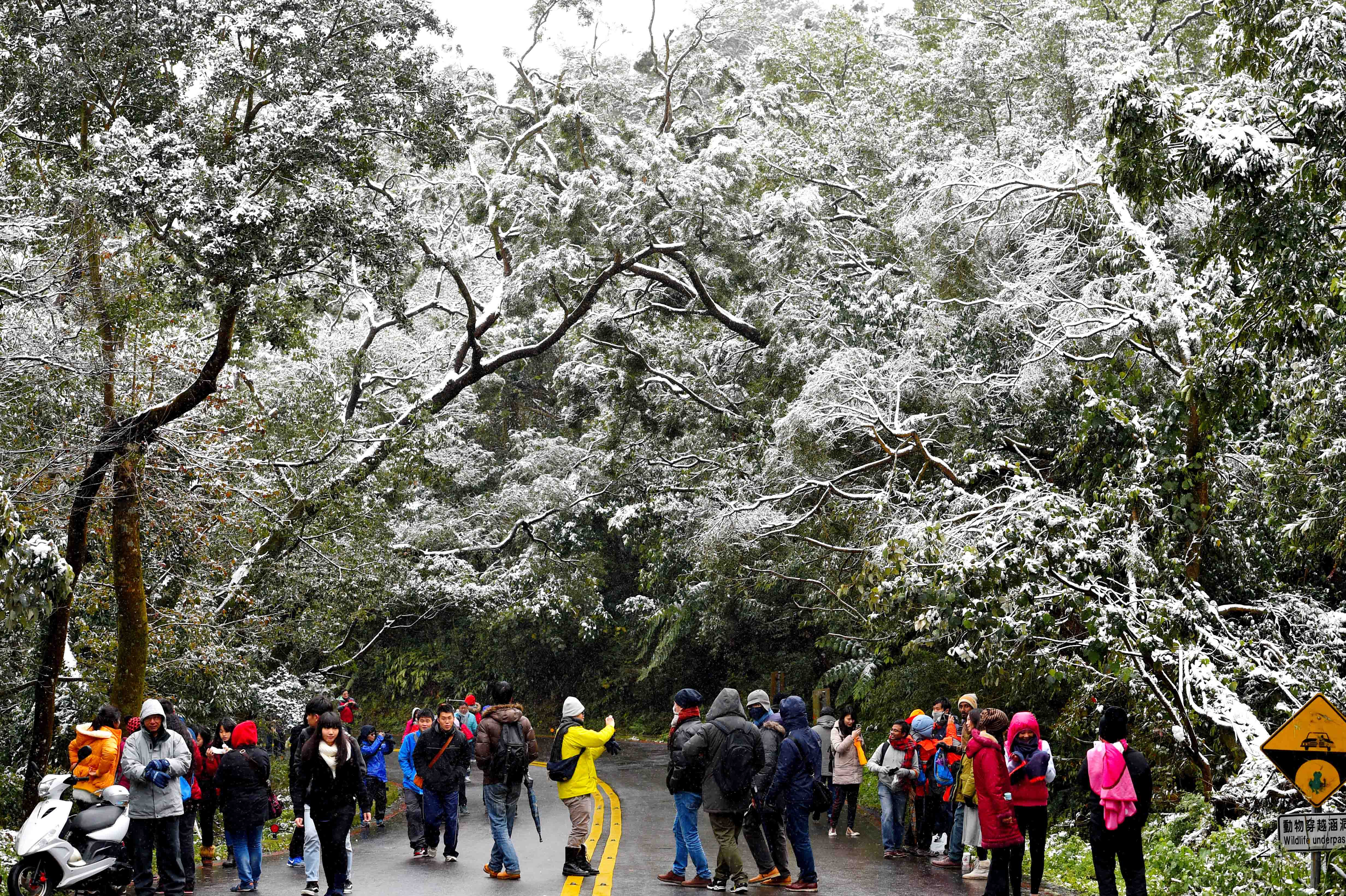 Temperaturi minime record in Asia. 85 de oameni au murit In Taiwan la 4 grade, temperatura cea mai mica din ultimii 44 de ani