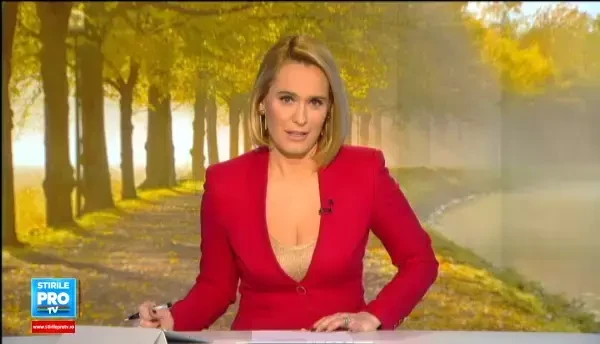 Noptile geroase din Romania pun in pericol viata pasarilor salbatice. Voluntarii incearca sa le salveze de la moarte