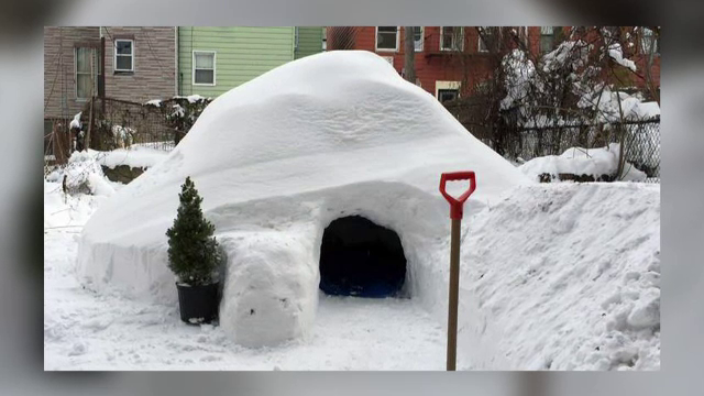 Au ridicat un iglu intr-o curte din New York, apoi l-au dat spre inchiriere pe internet. Suma ceruta pentru o noapte