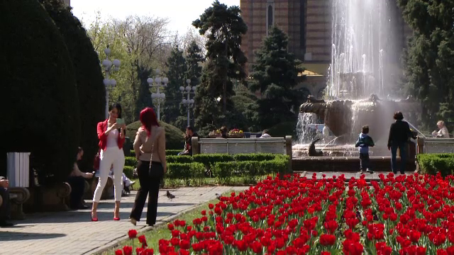 Sfarsitul epocii panselutelor si lalelelor in Capitala. Cati bani au "reusit" sa cheltuiasca autoritatile pe flori in 7 ani